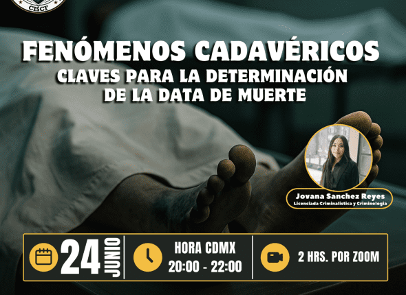 Captura de pantalla 2025-06-23 a las 10.17.22 p. m.